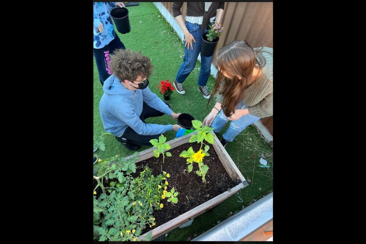 Students kneel next to a raised garden bed.
