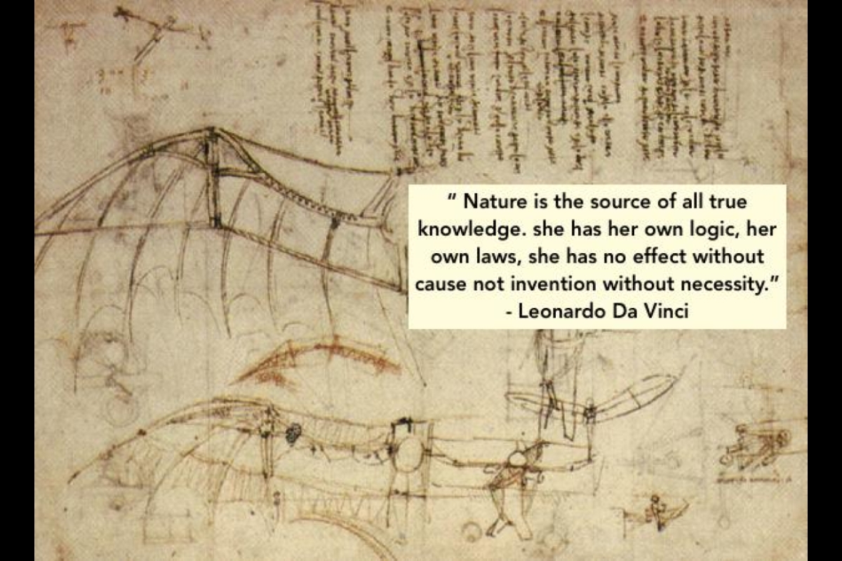 Leonardo quote on Saper vedere