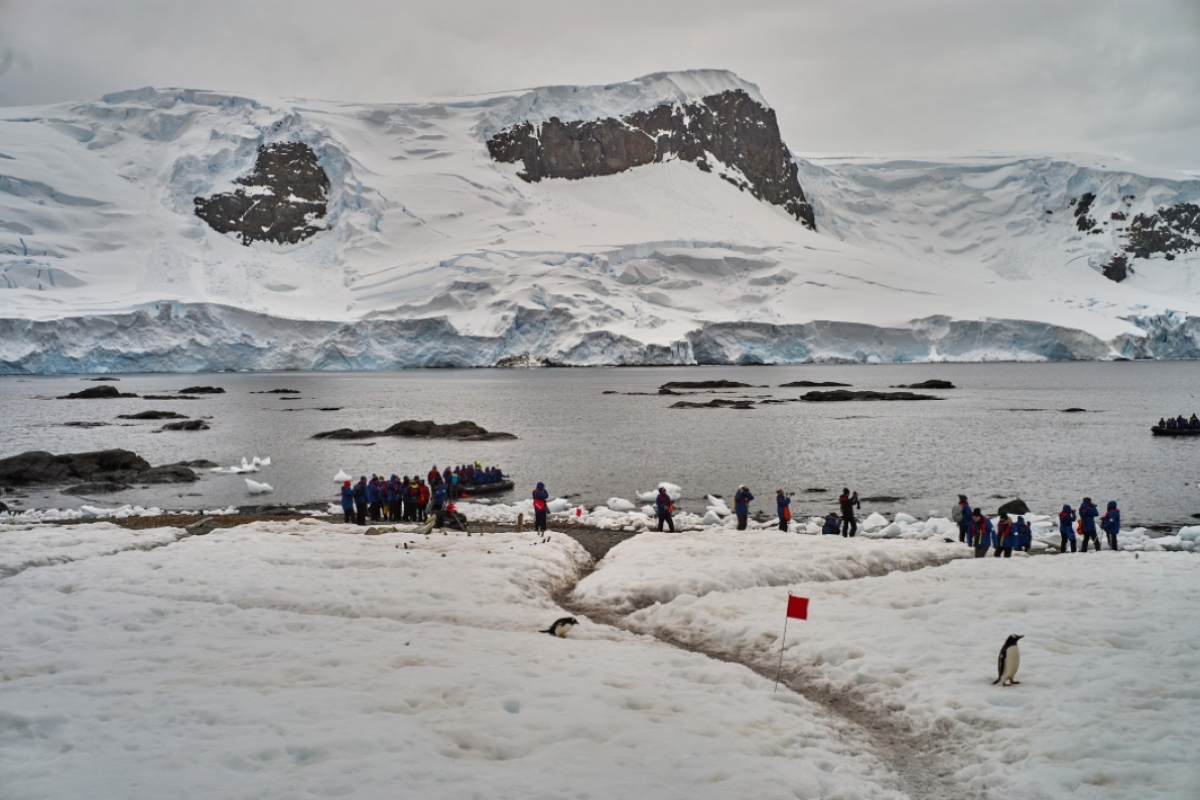 Group of ASU students on a snowy ice sheet with penguins nearby.