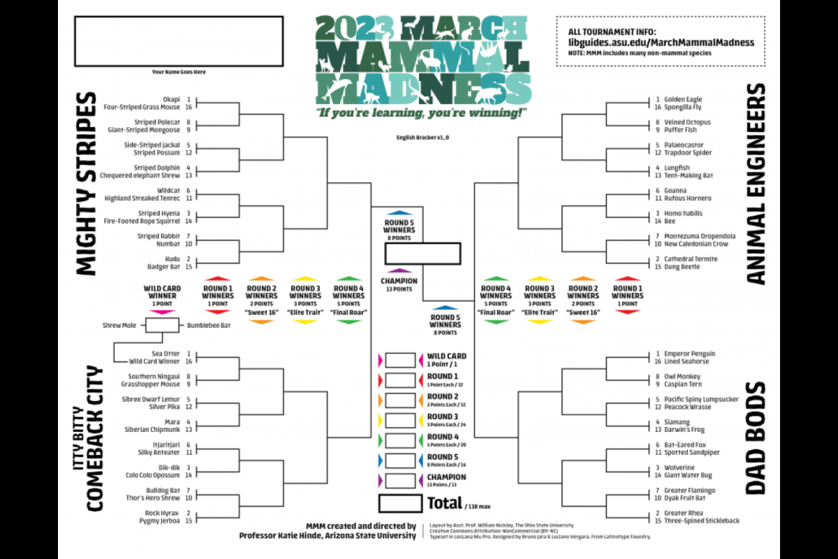 2023 March Mammal Madness tournament bracket