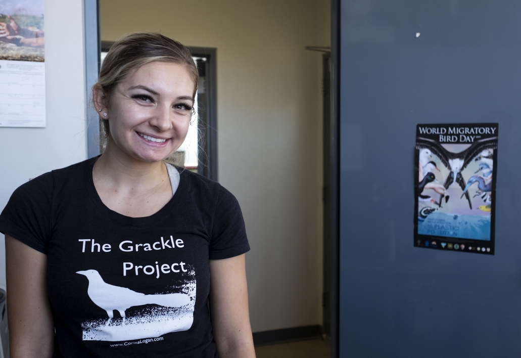 Melissa Folsom graduated with a degree in biological sciences and a minor in sustainability in 2017. This summer, she returned to campus as a full-time field researcher with The Grackle Project.