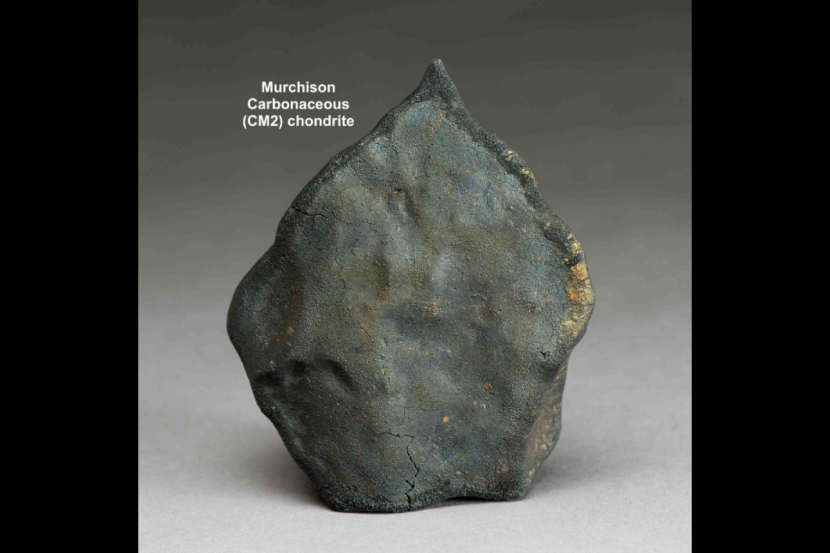 Murchison meteorite sample