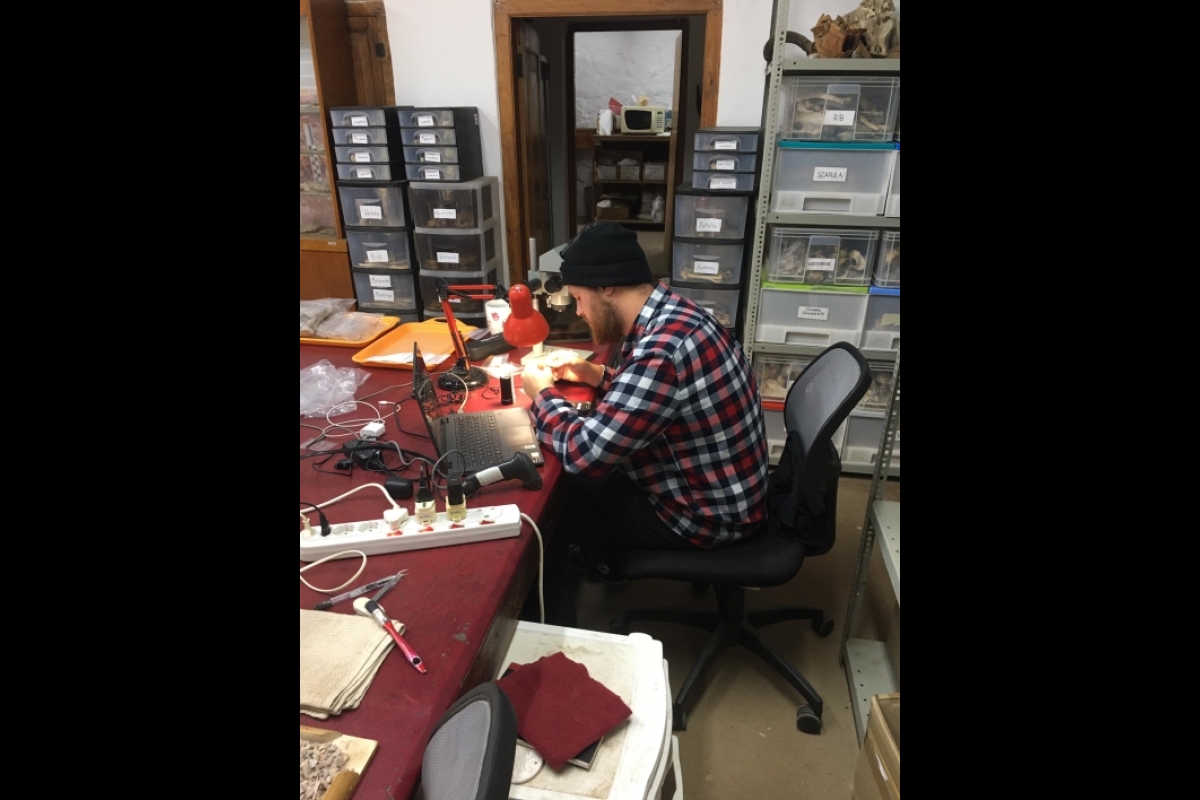 John analyzing silcrete artifacts in the lab in Mossel Bay, South Africa.