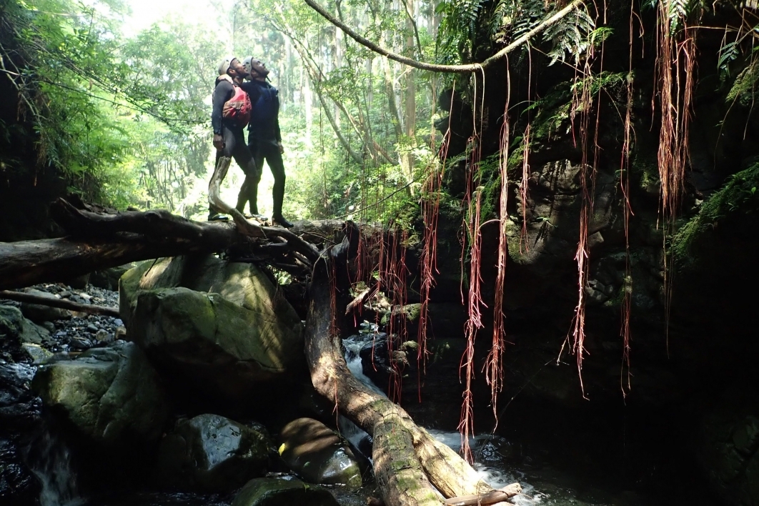 Vergil Haynes goes shower climbing up waterfalls in Japan
