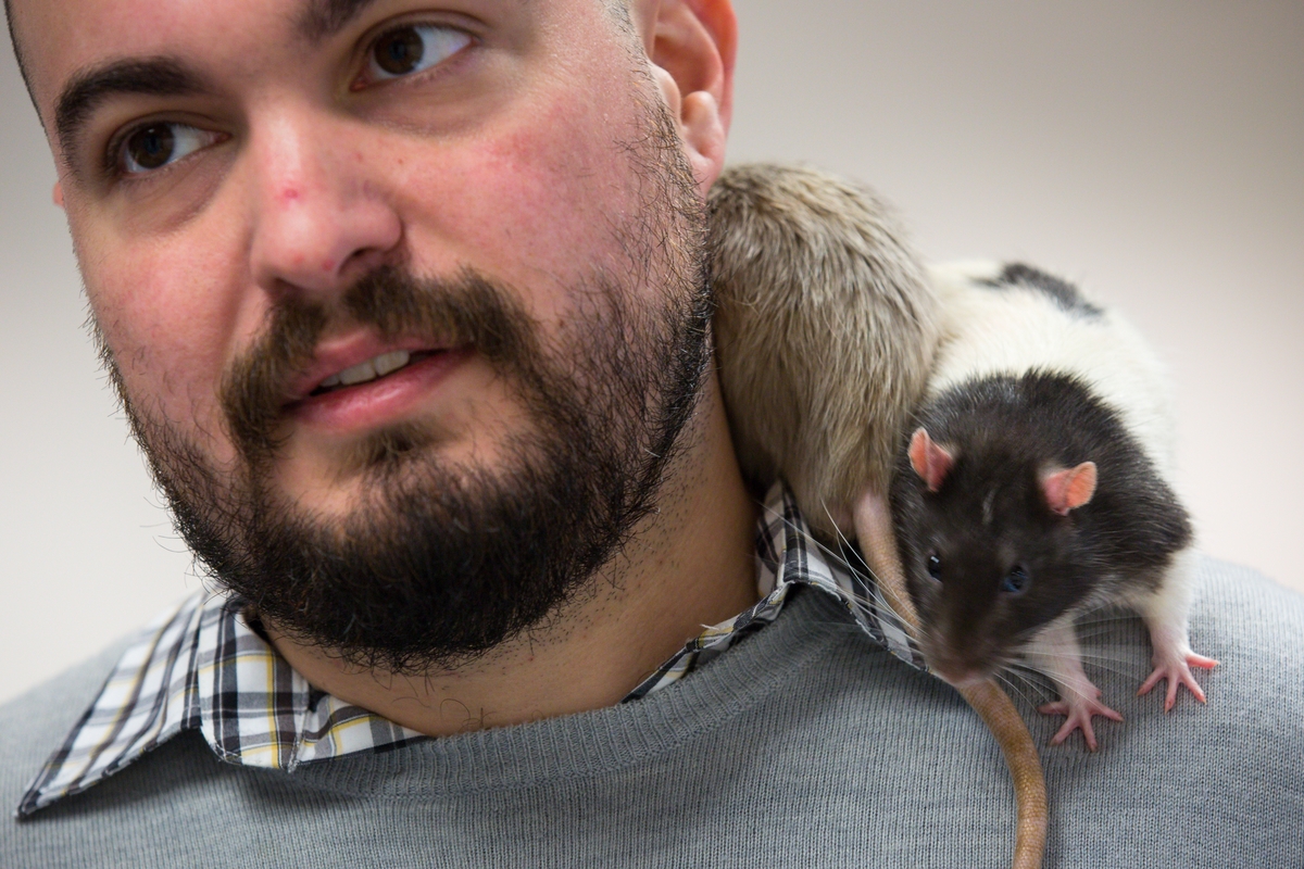 Guy with rats on his shoulder.