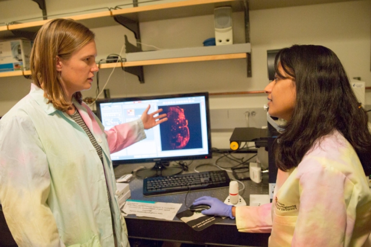 Sarah Stabenfeldt and Vimala Bharadwaj discussing research in a lab with a computer screen showing a brain scan in the background