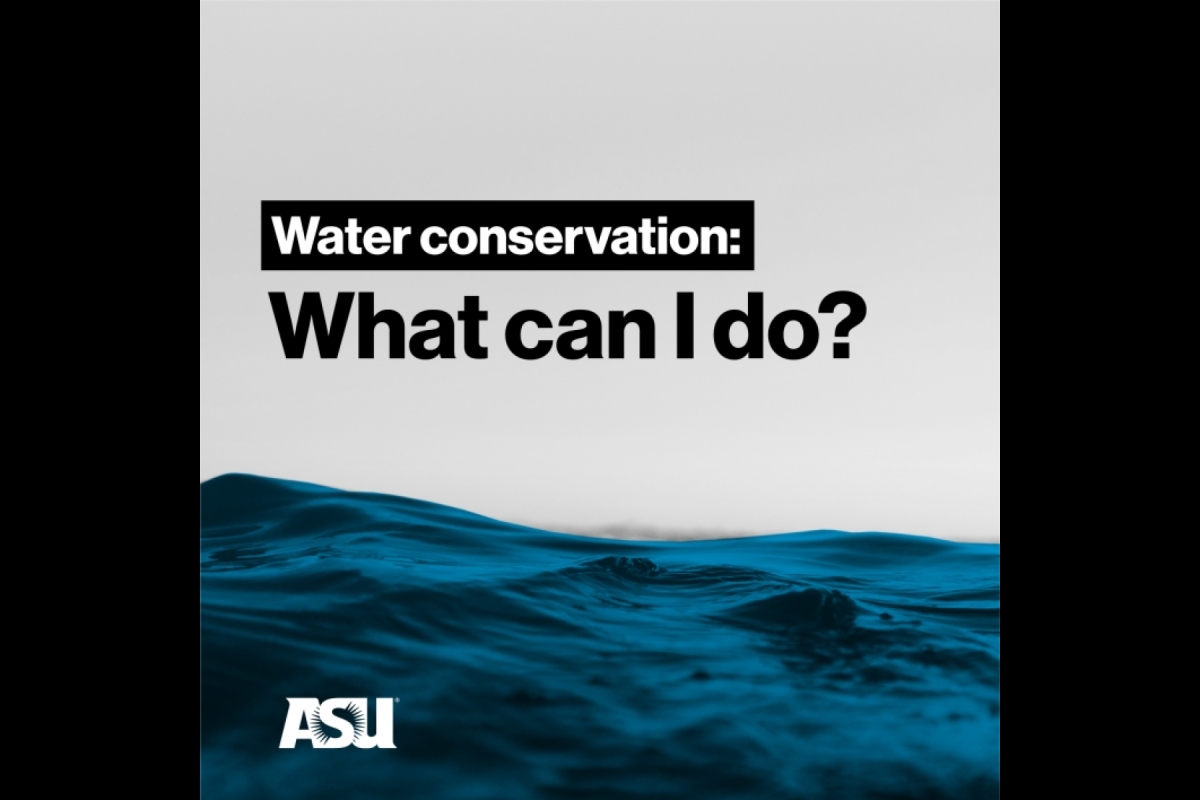 Slide with text: Water conservation: What can I do?