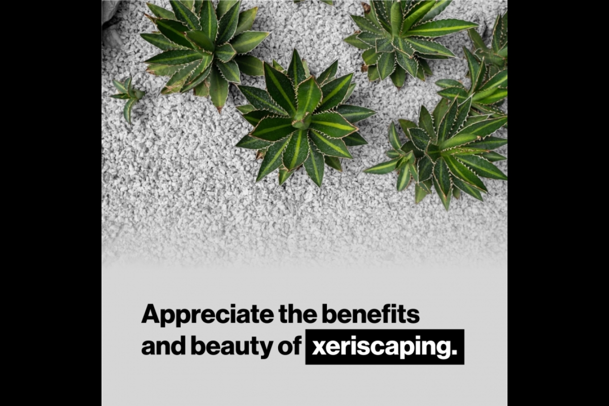 Slide with copy: Appreciate the benefits and beauty of xeriscaping.