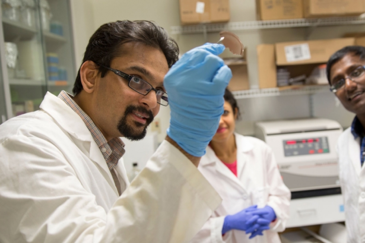 Kaushal Rege, a professor of chemical engineering, works with graduate students in the Rege Bioengineering Lab.