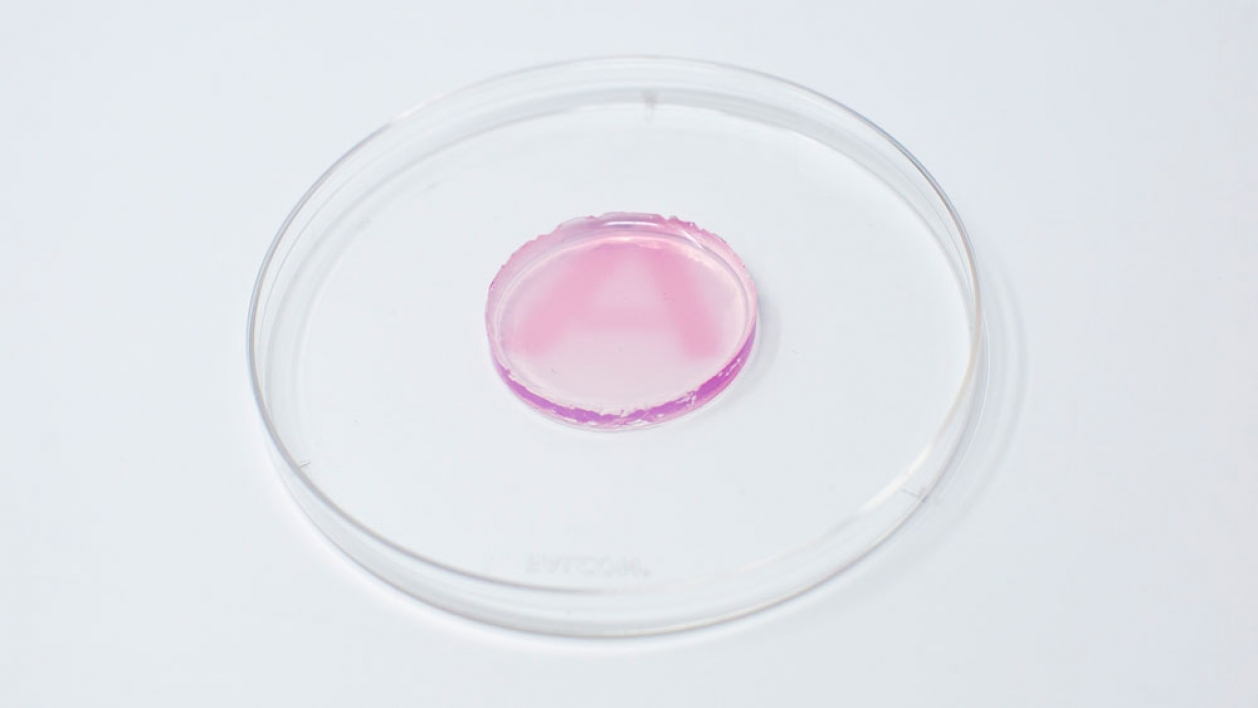 A pink-colored hydrogel indicates exposure to radiation, and the intensity of the color correlates to the dose of radiation. 