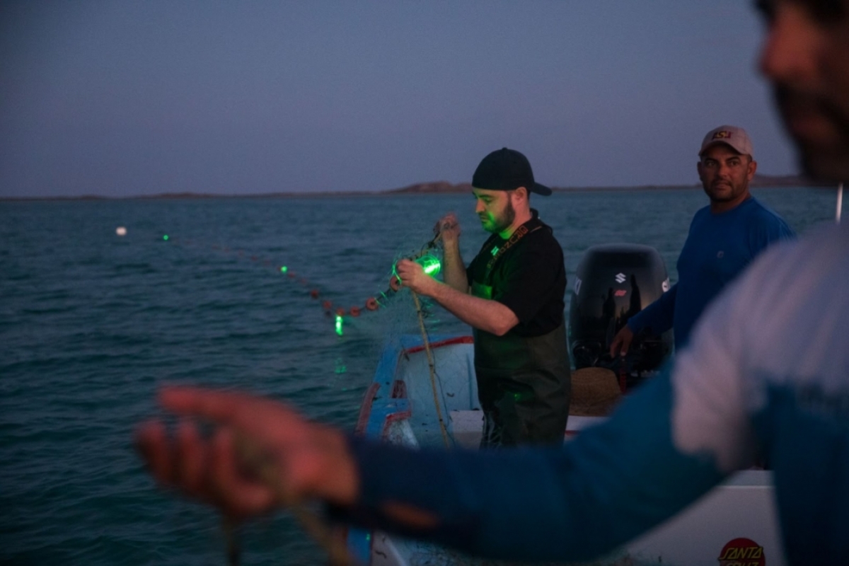 Senko on a boat holding a lit up net in low light with other people standing nearby