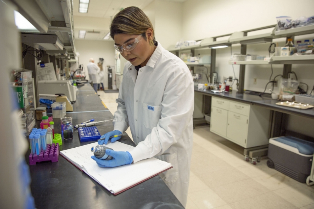 Aide Robles is pictured collecting data in Assistant Professor Anca Delgado’s lab.