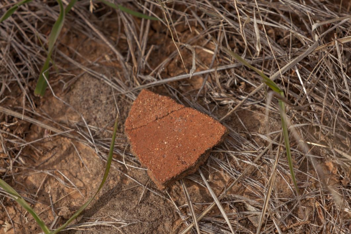 potsherd laying on ground in Perry Mesa