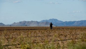Researcher walks on a dirt farm field with a dust cloud and mountains in the distance