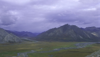North Alaskan wilderness