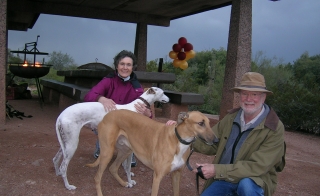 Ana and Tom Moore with their dogs.