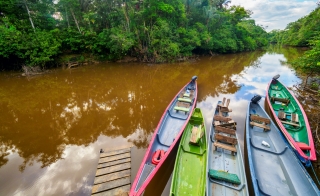 Five canoes side by side on a river in a forest setting.