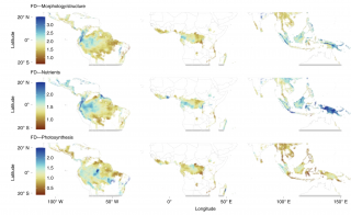Chart with illustrations depicting global predictions of functional diversity across tropical and subtropical, dry and moist broadleaf forests.