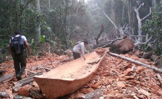 A Tsimané man carving a boat in a forest setting.