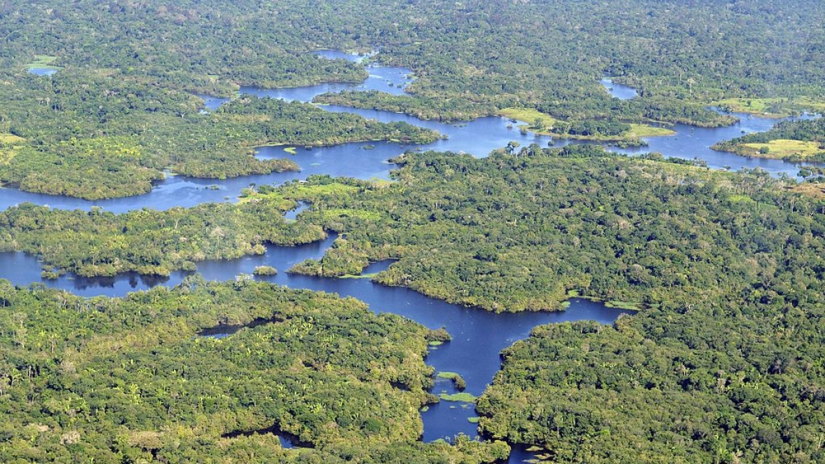 view of Amazon rainforest from above