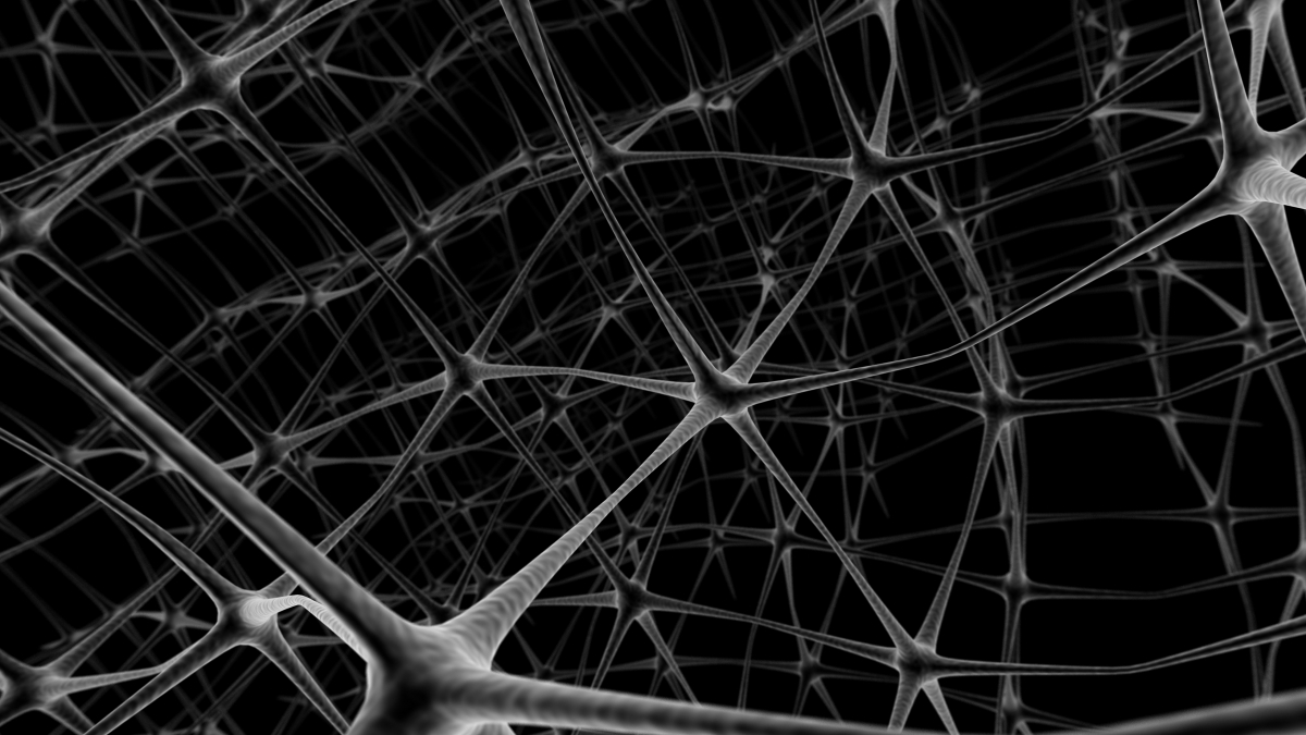 neuron network