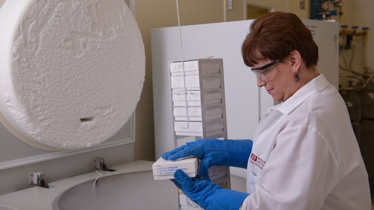woman working in ASU Biodesign Insitute lab