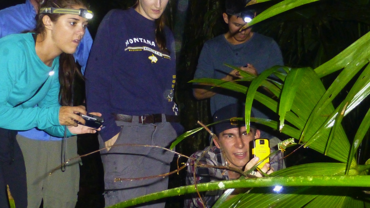 students find a frog while on a nighttime excursion