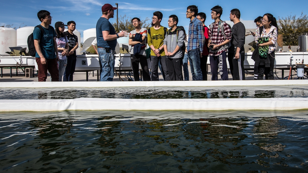 Beihang University students learn about an algae research facility