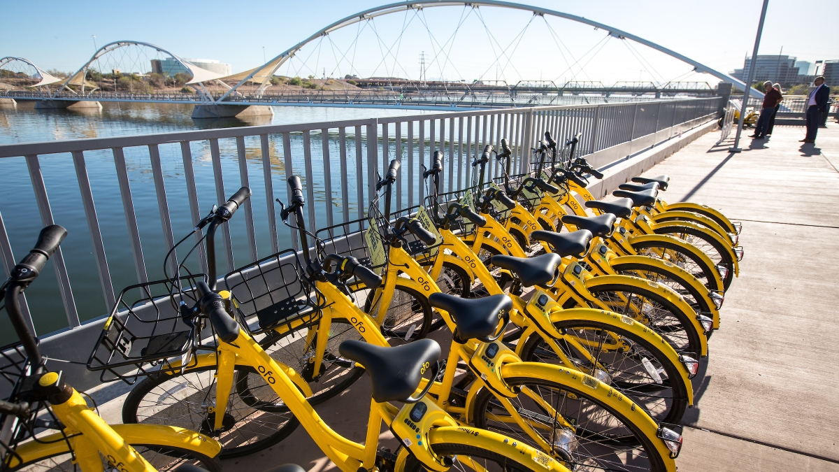 A row of yellow bikes in front of Tempe Town Lake