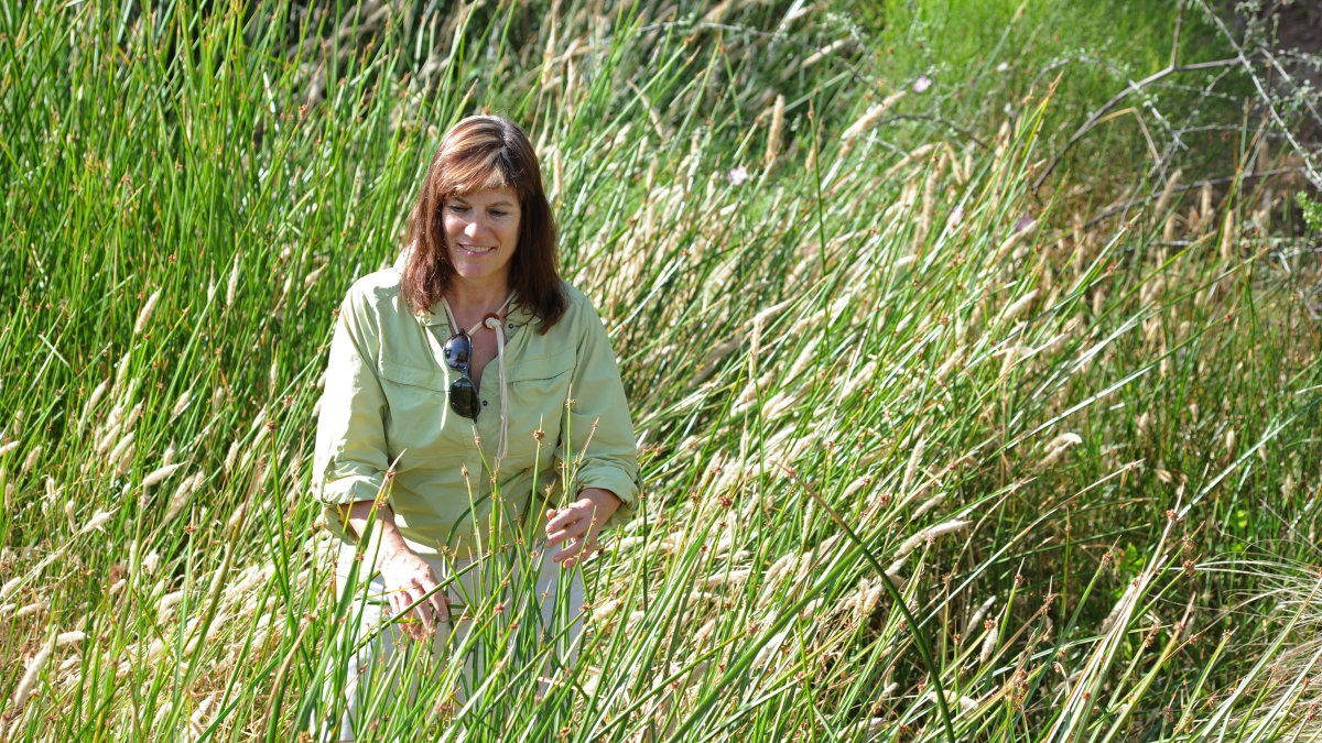 ASU urban ecologist Nancy Grimm