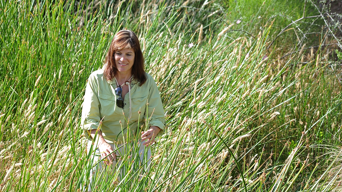 ASU ecologist Nancy Grimm