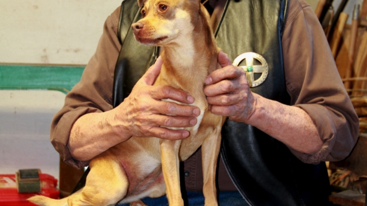 man holding dog on lap