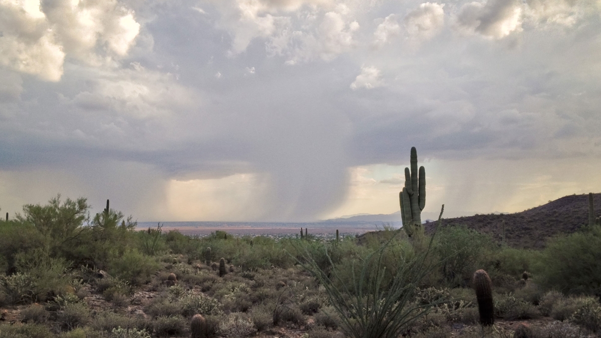 Monsoon rains fall over the Arizona desert