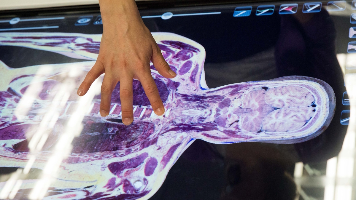 3-D table that displays cadaver information