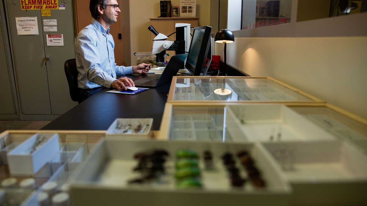 ASU natural history collections director Nico Franz digitizing specimen info