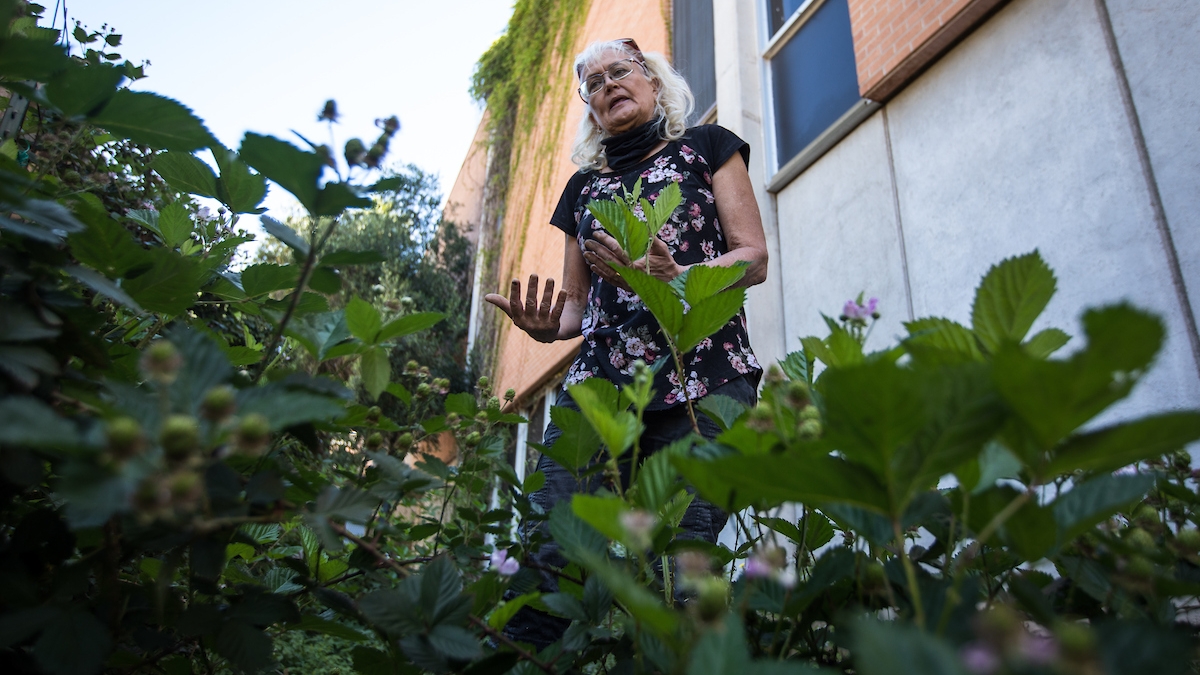 Deborah Thirkhill ASU gardening class