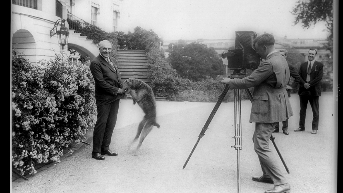 President Warren Harding and his airedale Laddie Boy