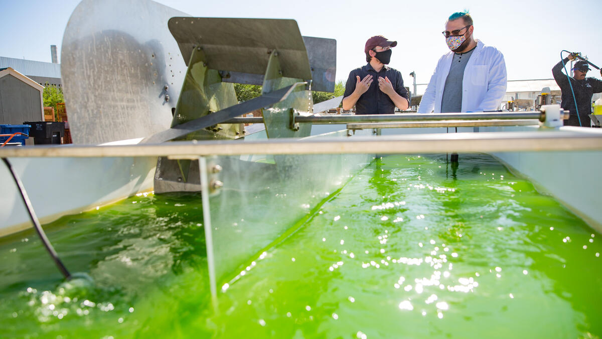 Two men standing next to a tank filled with green algea.