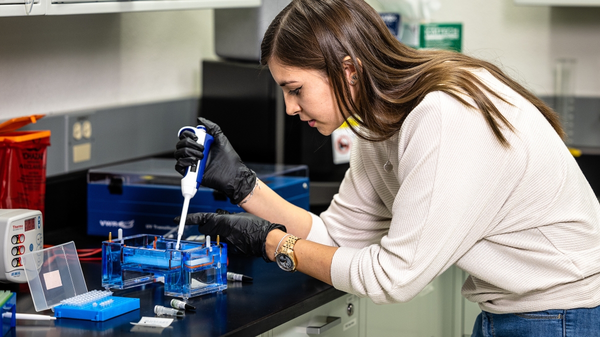 Student applying dyed DNA to gel bath