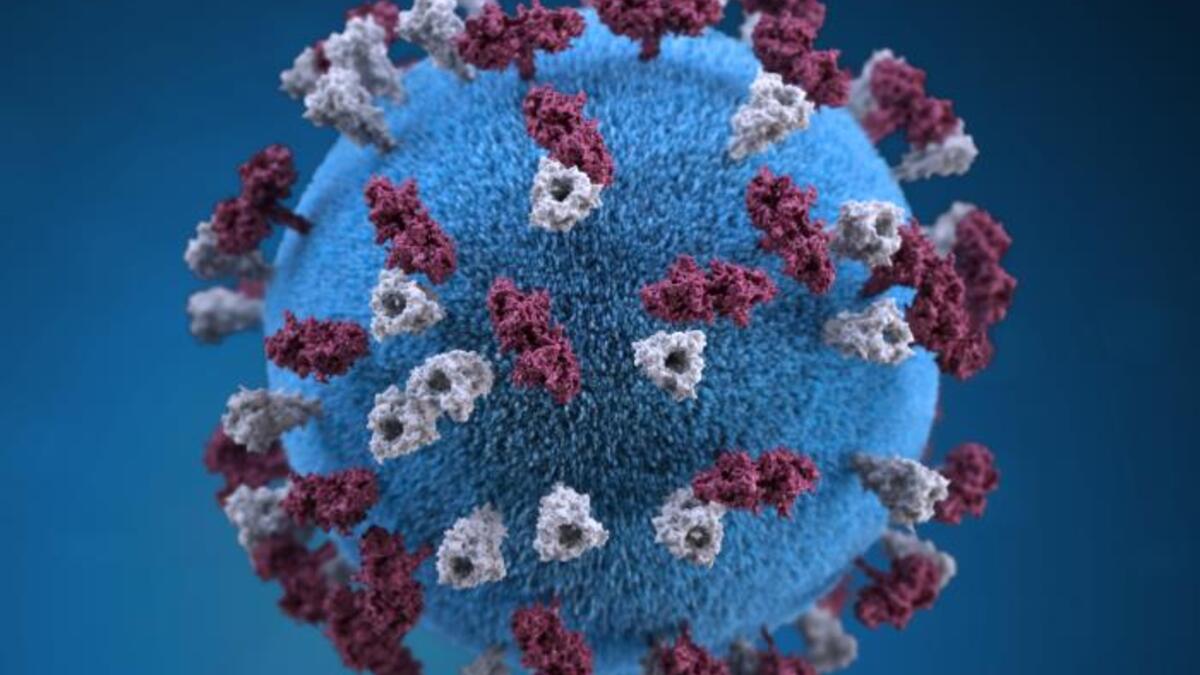 Close-up of the virus that causes measles.
