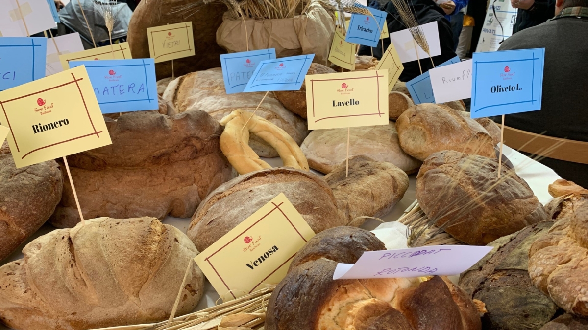 A variety of breads on a table.