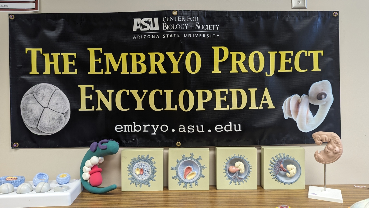 A banner reading "The Embryo Project Encyclopedia" behind embryo figurines.