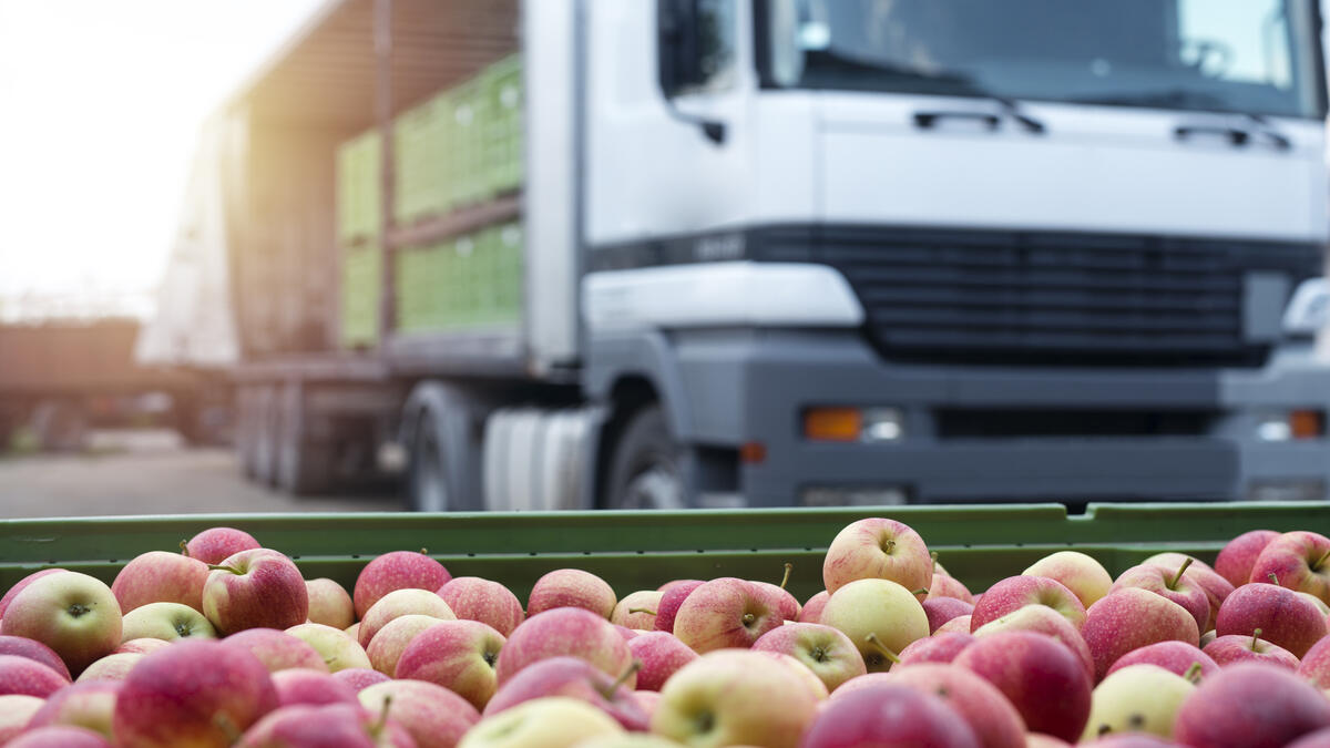 View of a container filled with apples in the foreground and a truck in the background.
