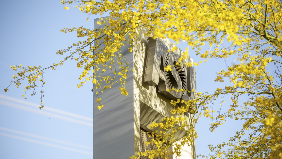 ASU outdoor sign grazed with branches  of yellow palo verde tree flower blooms