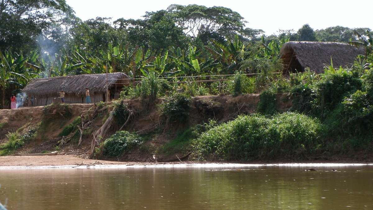 A view of a traditional Tsimane home seen from a boat in a river