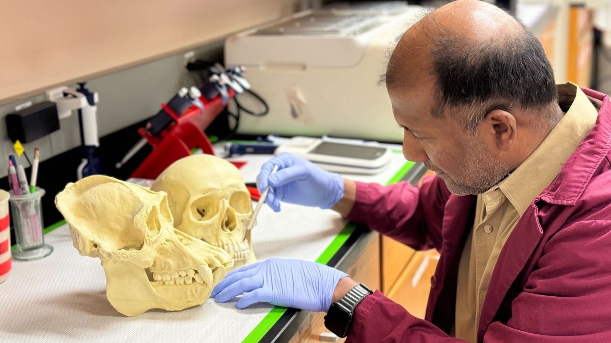 sree working on skulls