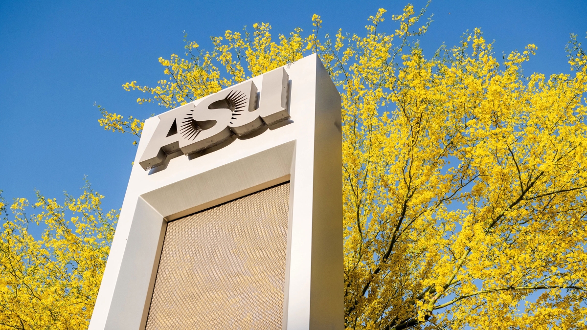 An ASU sign stands in front of flower-laden palo verde branches.