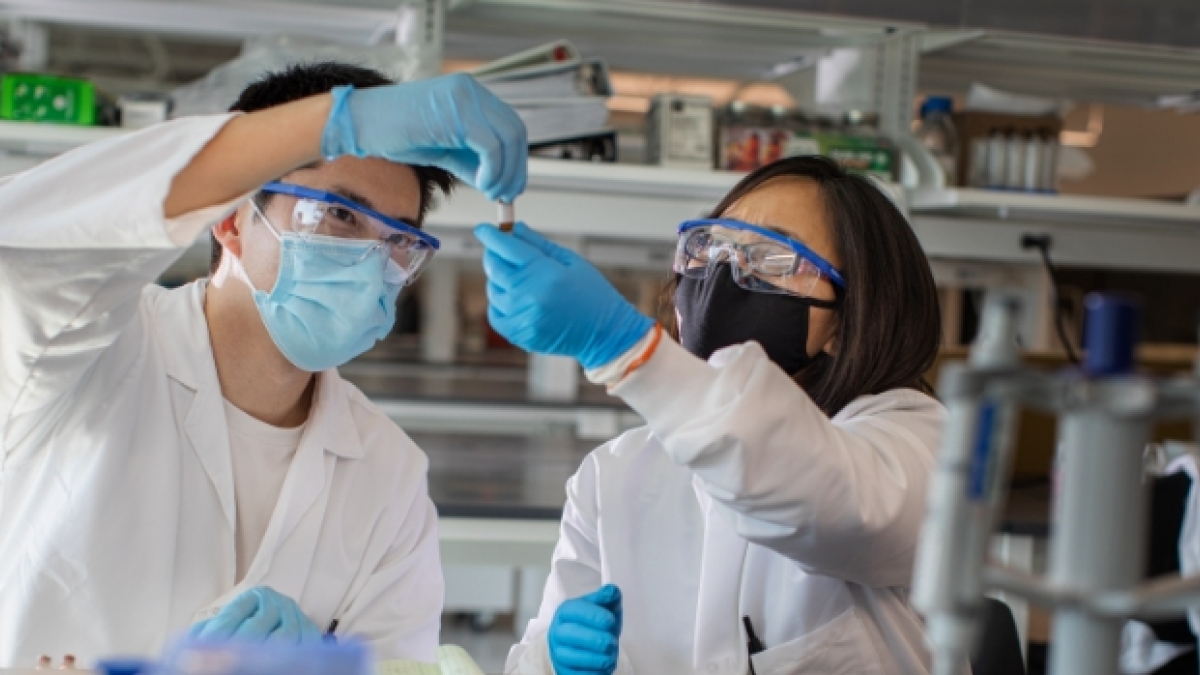 two people working together in lab