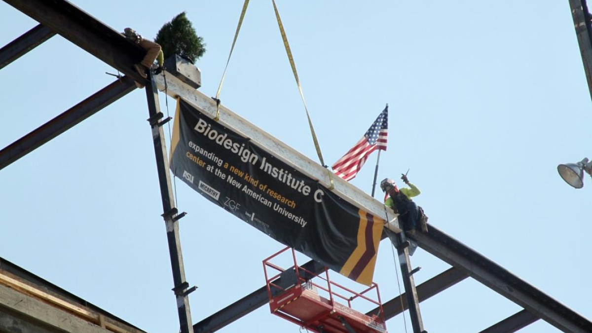 The final beam is hoisted to the top of Biodesign C