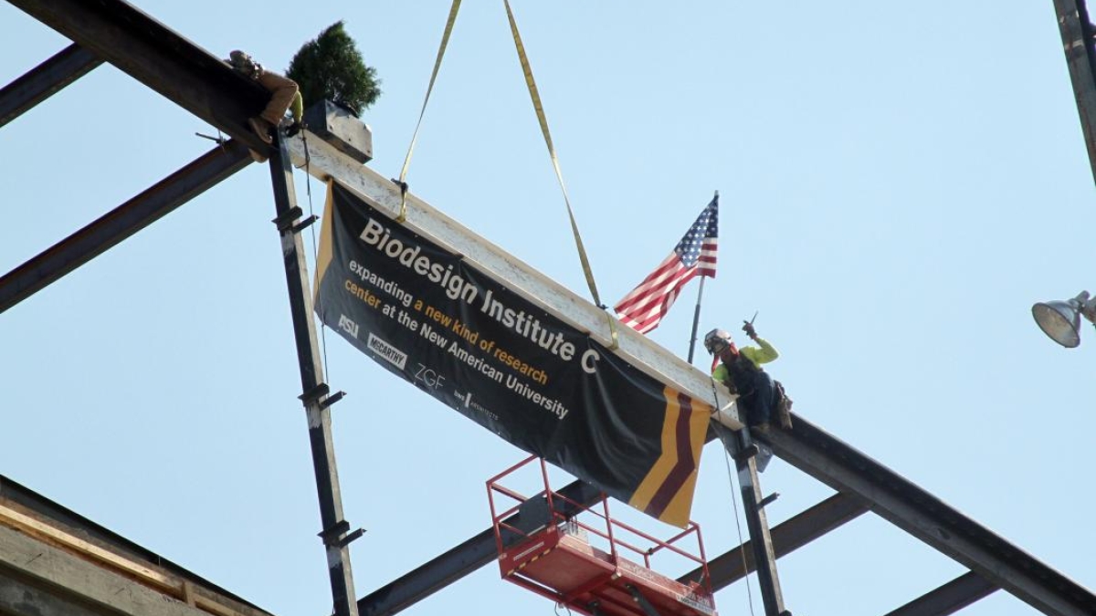 The final beam is hoisted to the top of Biodesign C